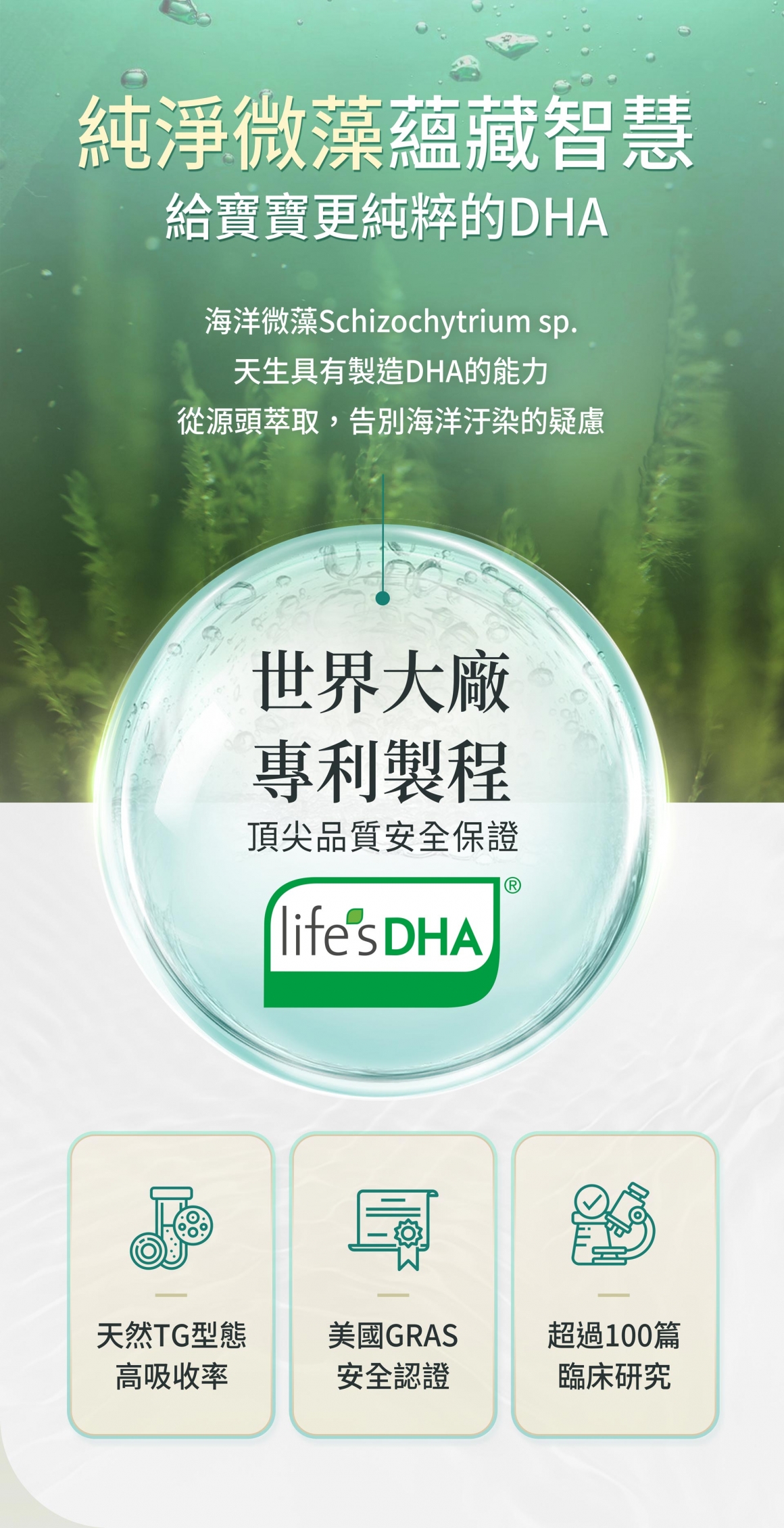 BHK-孕媽咪DHA藻油_3